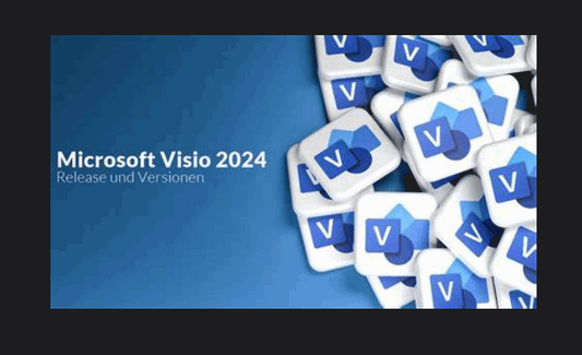 Visio 2024 Professional 1PC Bind Genuine License