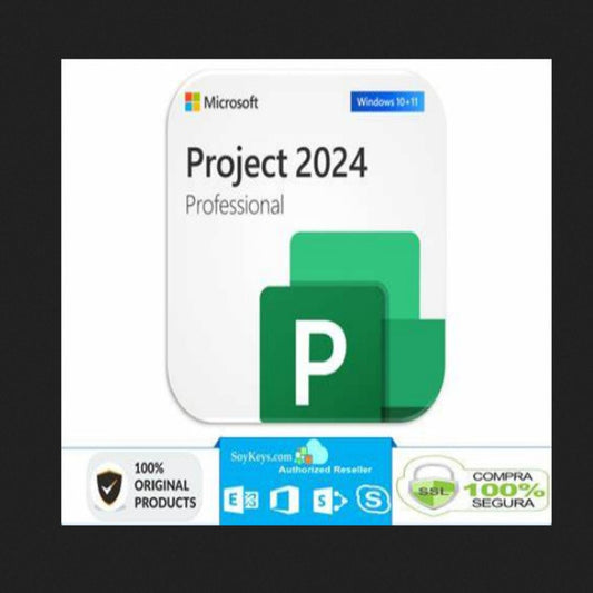 Project 2024 Professional 1PC Bind Genuine License