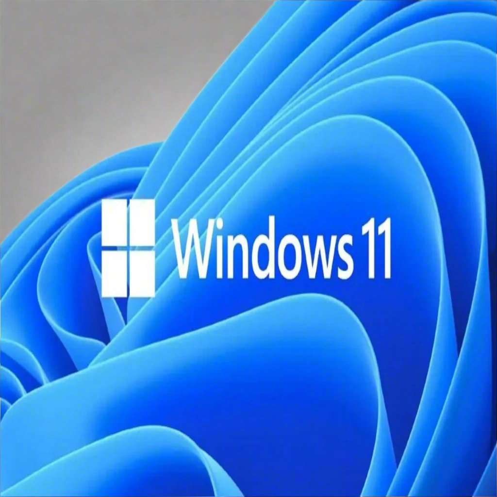 Windows 11 Professional Product Key For 5PC - Software Shop