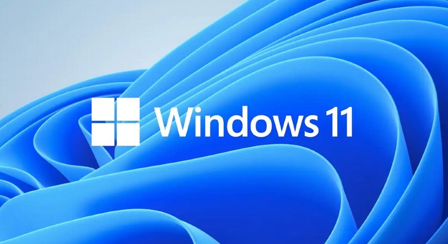 Windows 11 Professional Product Key For 5PC