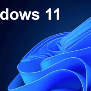Windows 11 Professional digital license key one-time purchase