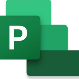 Project professional edition