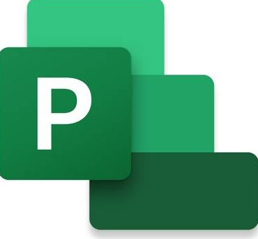 Project professional edition