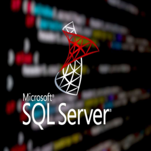 SQL Server Standard (2019 / 2022 / 2025)