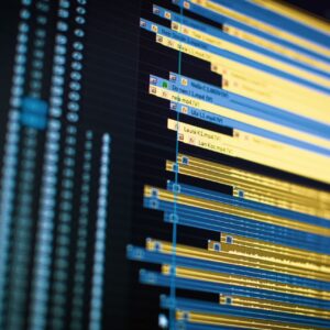 Multimedia Software